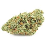 Шишки OG Kush  (Гидропоника, бошки) VHQ в Дальнереченске